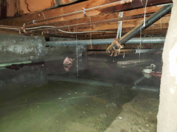Best Water damage contractors near me  in Fredericktown, OH