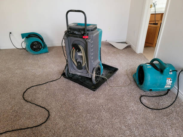 Best Water damage restoration near me  in Fredericktown, OH