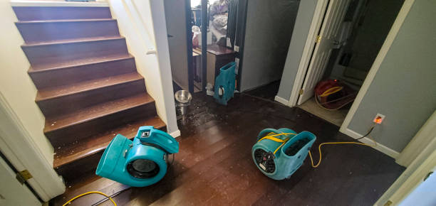 Best Flood restoration services  in Fredericktown, OH
