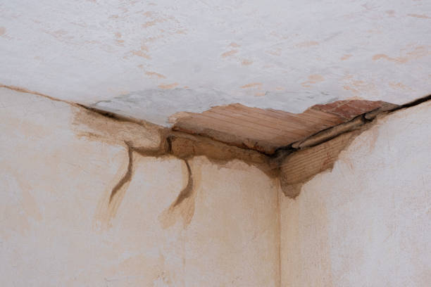Best Residential water damage restoration  in Fredericktown, OH