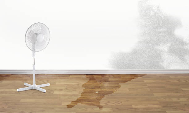 Best Flood damage cleanup  in Fredericktown, OH