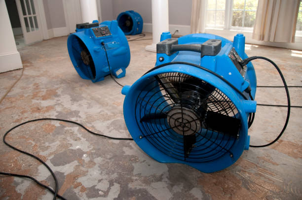 Best Water damage restoration specialists  in Fredericktown, OH