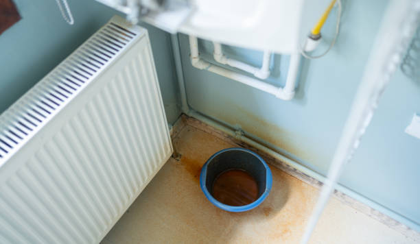Best Basement water damage restoration  in Fredericktown, OH