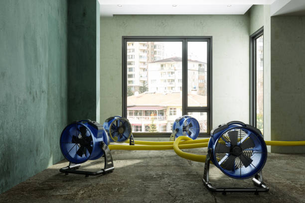 Best Professional water damage repair  in Fredericktown, OH